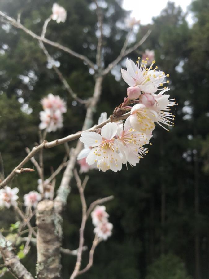 中正 青山别馆酒店 外观 照片